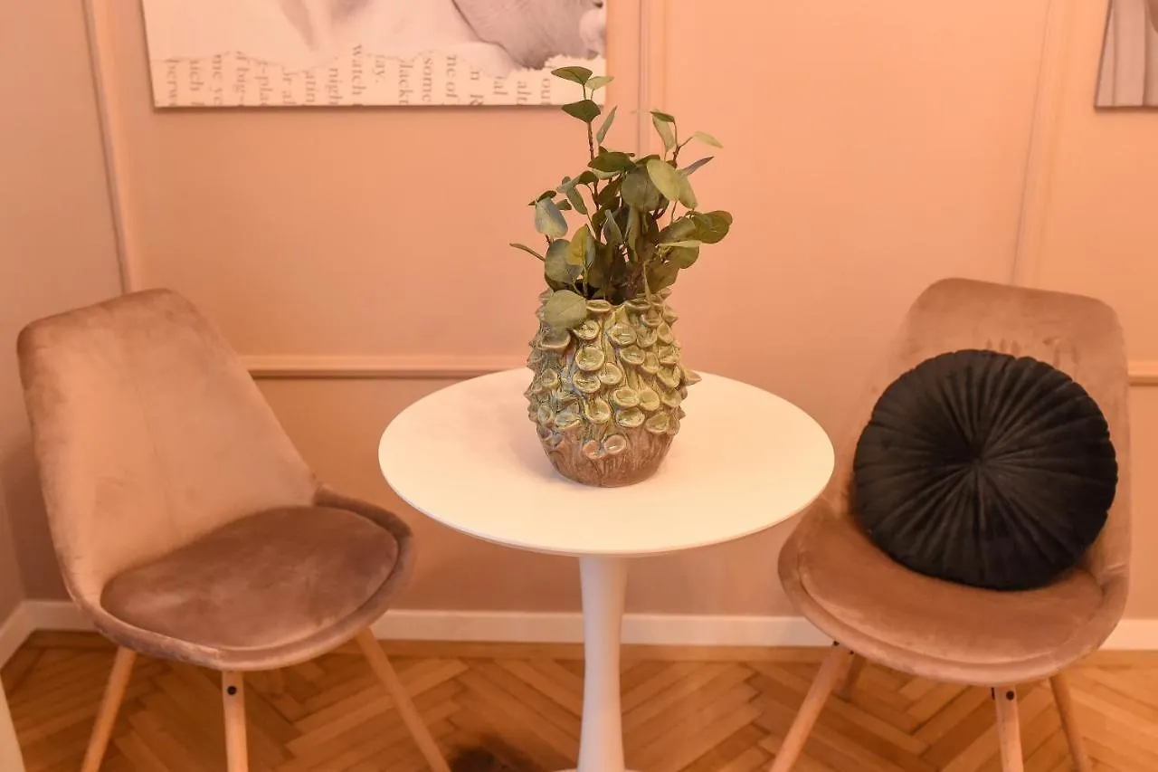 The Rose Gold - Cinema Studio Near Radisson Apartment Bucharest